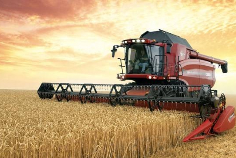 Buğdayda gelir kaybı riski tarım sigortası kapsamına alındı
